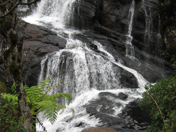 A look at the Baker falls in Hortens Plain on Ceylon
