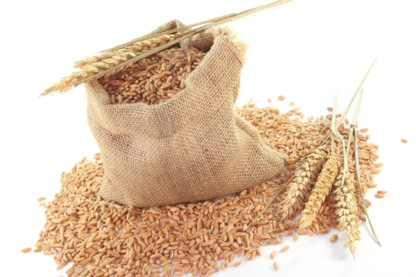 Çanta tahıllar — Stok fotoğraf