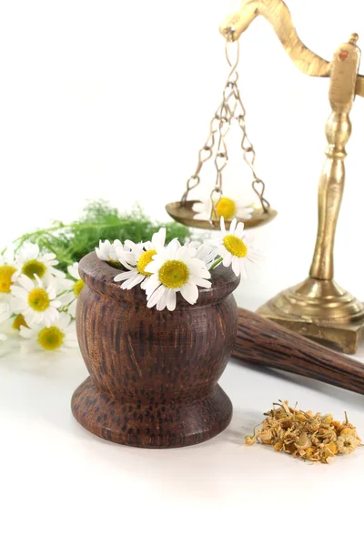 Chamomile flowers with mortar and scales — Stock Photo, Image