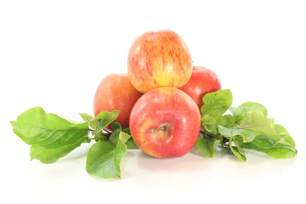 Äpfel mit Blättern — Stockfoto