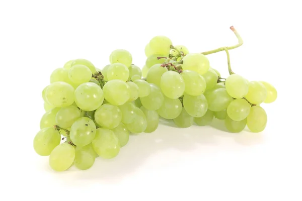 Яркий виноград — стоковое фото