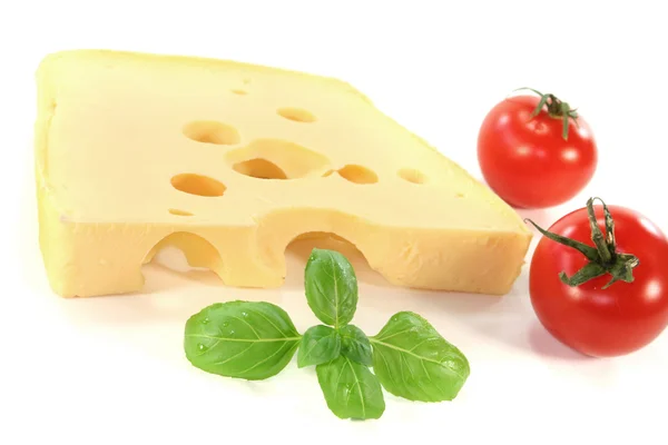 Bucată de brânză — Fotografie, imagine de stoc