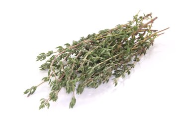 Thyme clipart