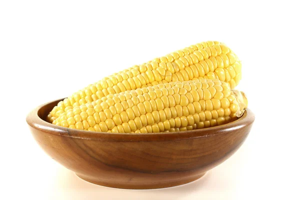 stock image Corn cob