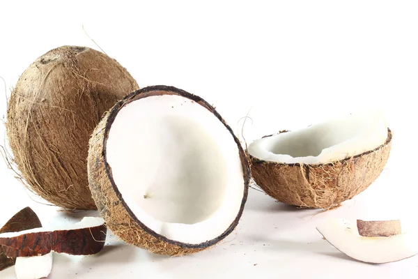 stock image Coconut