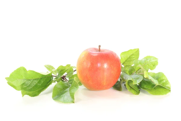 Apfel mit Blättern — Stockfoto