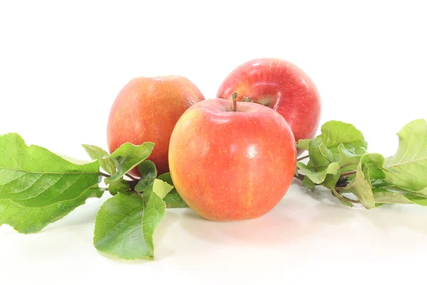 Äpfel mit Blättern — Stockfoto
