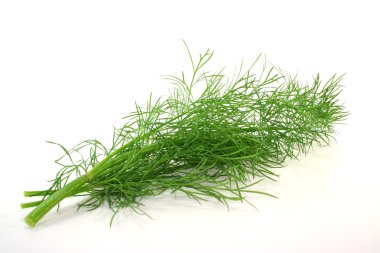 Dill.