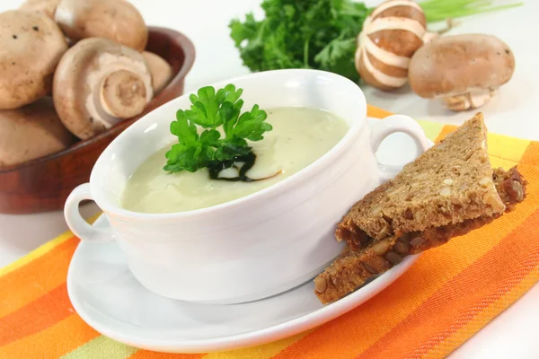 Crema de sopa de champiñones — Foto de Stock