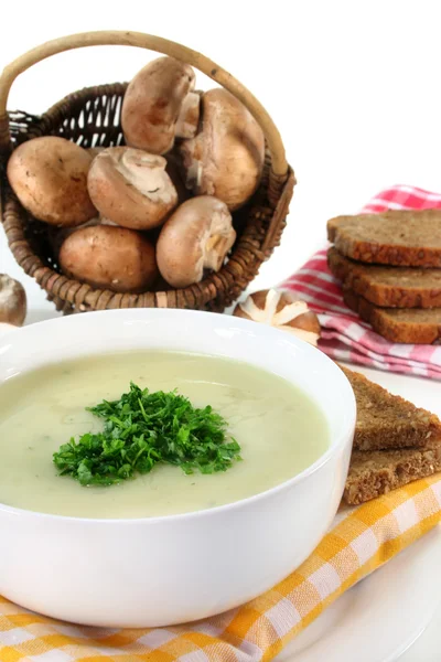 Cream of mushroom soup — Stock Photo, Image