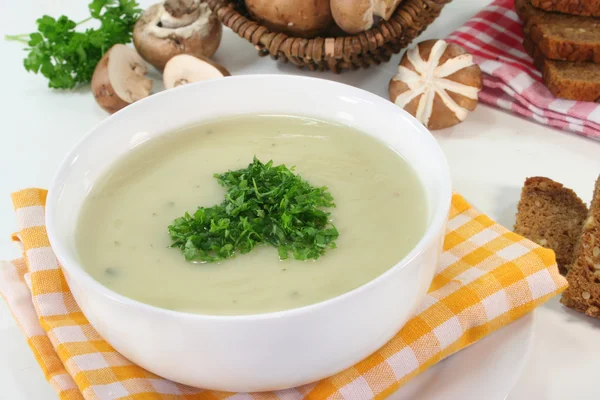 Cream of mushroom soup — Stock Photo, Image