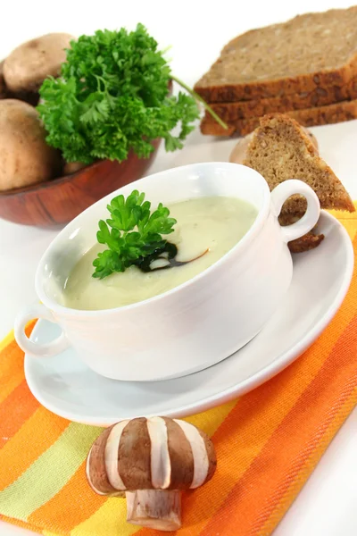 Cream of mushroom soup — Stock Image Cream of mushroom soup Royalty Free Stock Photos