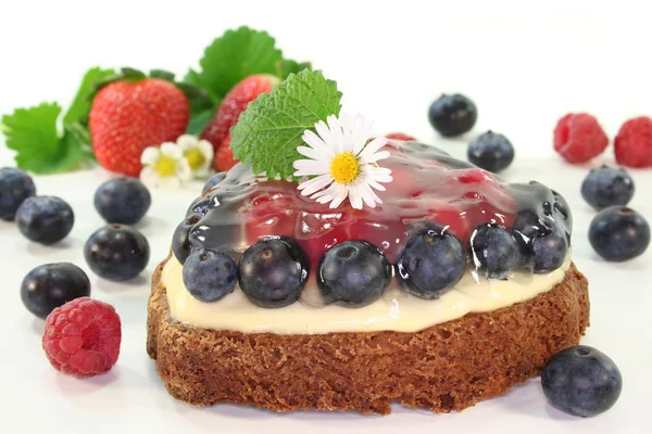 Forest fruit tart — Stock Photo, Image