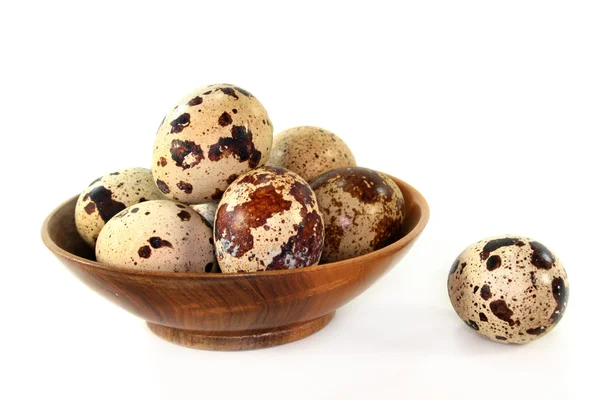 stock image Quail eggs