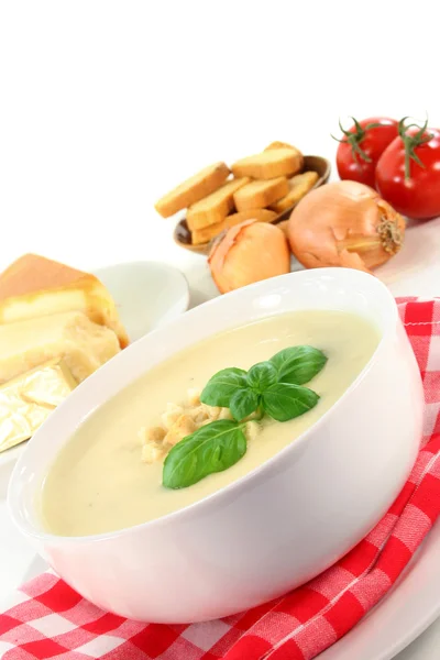 Sopa de creme de queijo — Fotografia de Stock