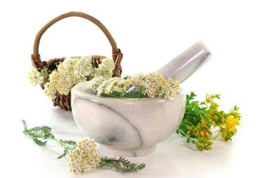 Medicinal herbs clipart