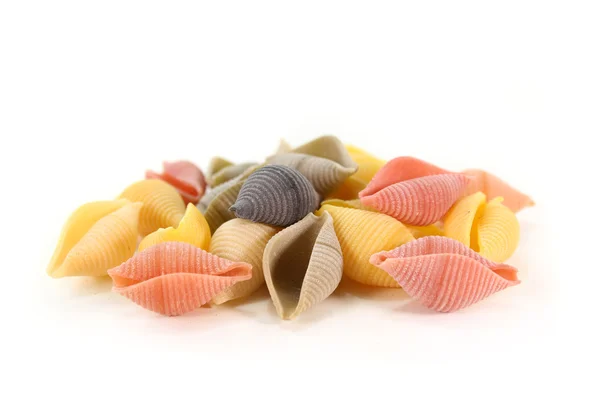 stock image Conchiglie