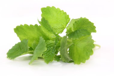 Limon merhemi