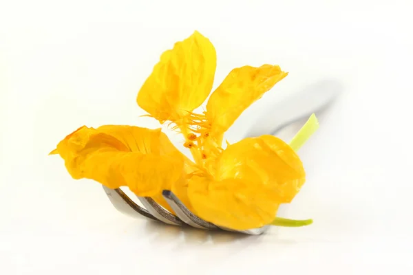 Essbare Blume — Stockfoto