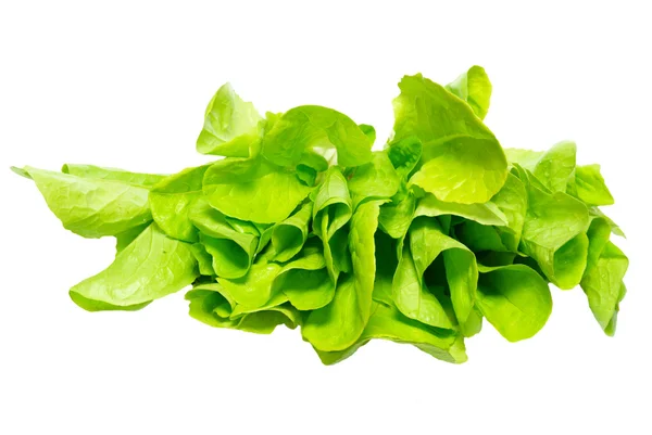 Зеленый салат изолирован на белом . — стоковое фото