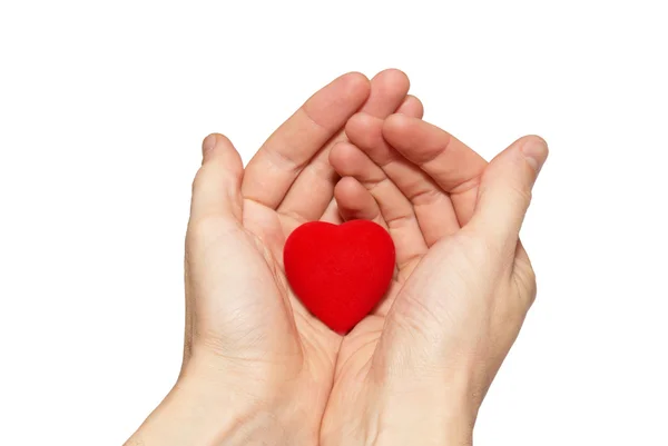 Pequeno coração de Valentim em umas mãos . — Fotografia de Stock