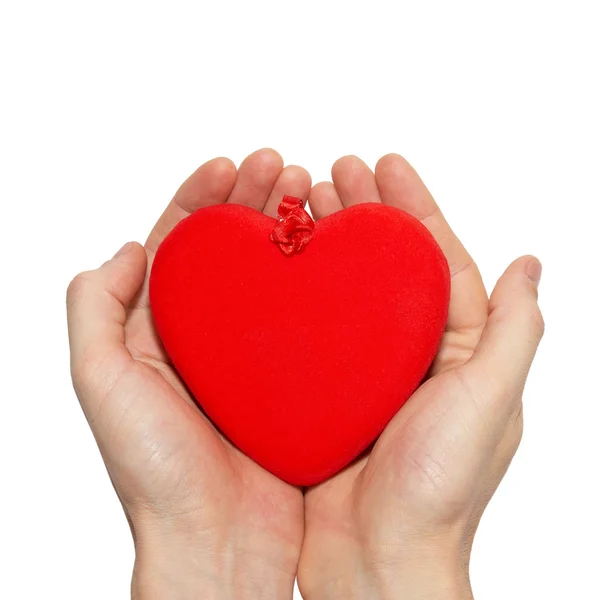 Stor alla hjärtans hjärta i ett händer. — Stockfoto