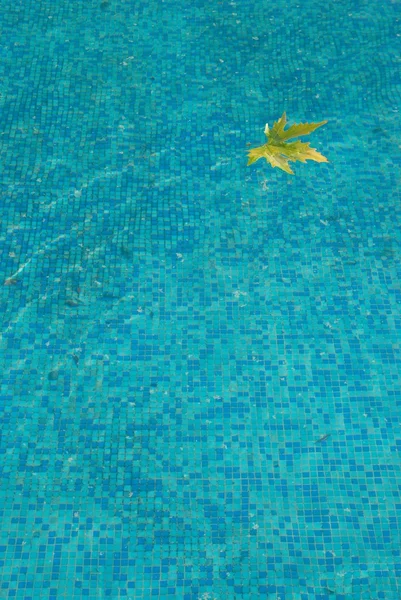 Blaue Wasseroberfläche mit gelbem Blatt. — Stockfoto