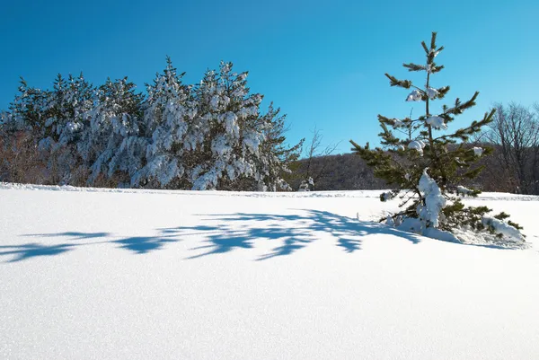Winter, diepe sneeuw en voetafdrukken. — Stockfoto