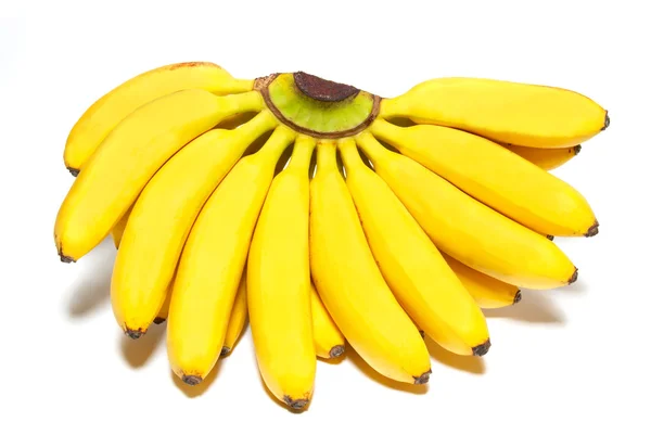 Буч из маленьких бананов . — стоковое фото