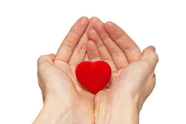 Små valentine hjärta i ett händer. — Stockfoto