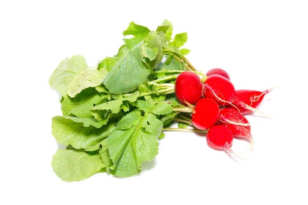 Bunch of red radish isolated on white. — Stock Photo, Image
