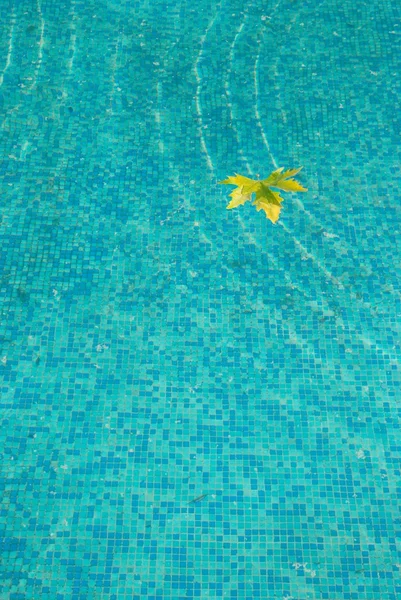Surface d'eau bleue avec feuille jaune . — Photo