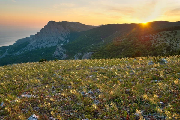 Bergen en het gebied van gele bloemen. zonsondergang. — Stockfoto