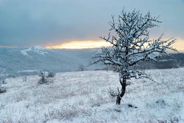Zimní krajina. západ slunce. — Stock fotografie