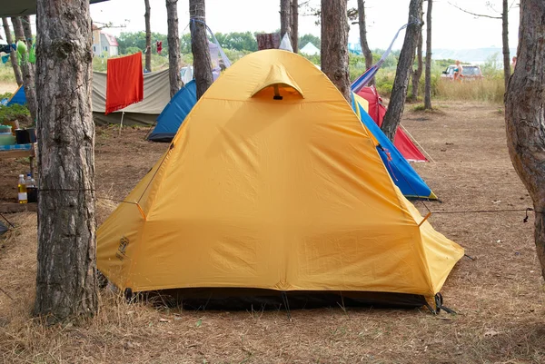 Camping in het forest — Stockfoto