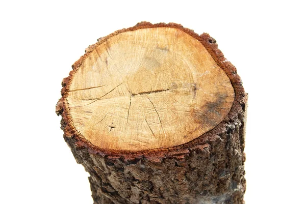 Дерев'яні пень — стокове фото