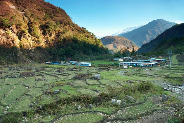 Rýžová pole v himálajských horách — Stock fotografie