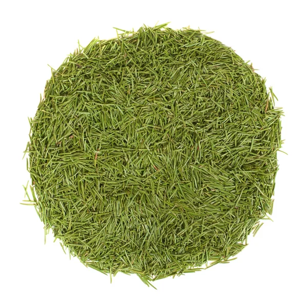 Pilha círculo de agulhas verdes — Fotografia de Stock