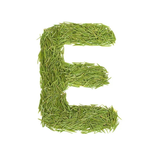 Green alphabet, letter E — Stock Photo, Image