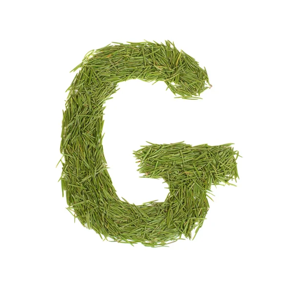 Grünes Alphabet, Buchstabe g — Stockfoto