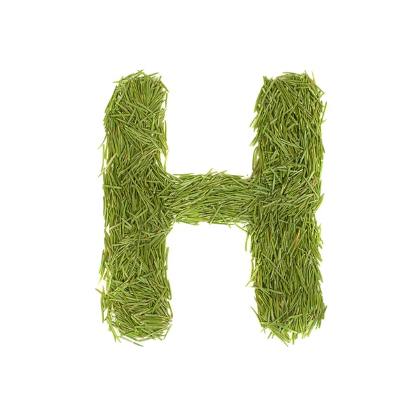Green alphabet, letter H — Stock Photo, Image