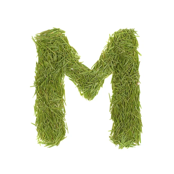 Zöld ábécé, levél m — Stock Fotó