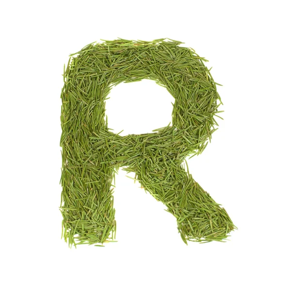 stock image Green alphabet, letter R