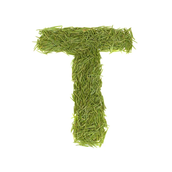 Alfabeto verde, letra T — Fotografia de Stock