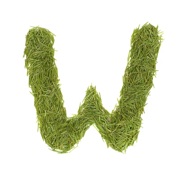 Зеленый алфавит, буква W — стоковое фото