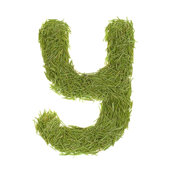 Зелений алфавіт, літера Y — стокове фото