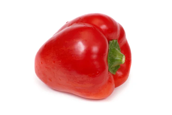 Paprica rossa — Foto Stock