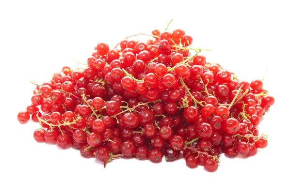 stock image Pile of raspberries currants.