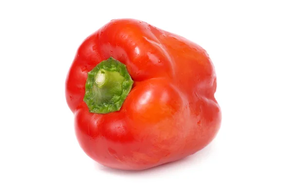 红色青椒 — 图库照片