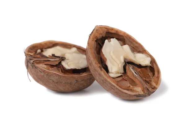 Polovin vlašských ořechů — Stock fotografie